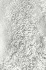 background of white wool. New trending colour of the 2026 year 