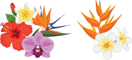Tropical flower arrangement with hibiscus orchid bird of paradise and plumeria