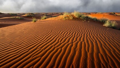 Vast Sand Dunes in the Desert