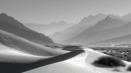 Serene Expanse: Sweeping Shadows of Dune Grass Across Sand Landscape at Soft Morning Light