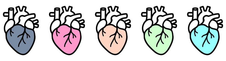 Anatomical heart icons.eps
