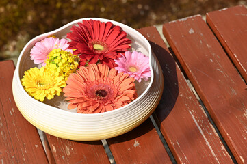Gerbera Flower Arrangement on Wooden Deck, 木製のデッキの上のガーベラの花手水