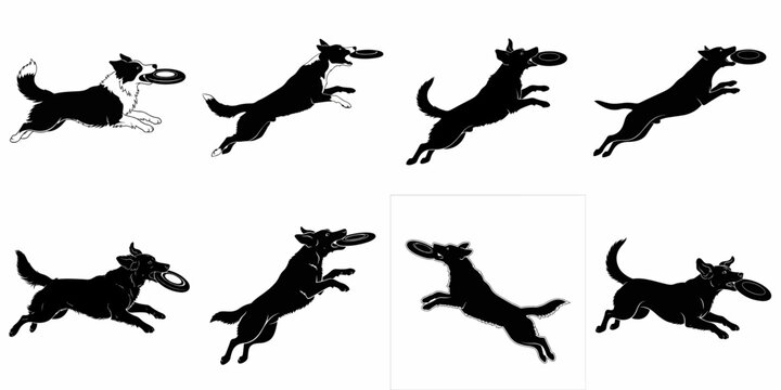 Eight dynamic dog illustrations catching a frisbee in action poses. Vector art set of pet agility and play in black and white silhouette styles.