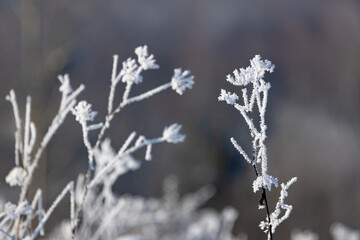 Stacja narciarska Master-Ski w Tyliczu zimą. © rogozinski