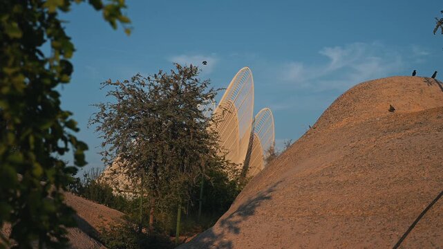 Zayed National Museum captured from Al Masar Garden in Abu Dhabi