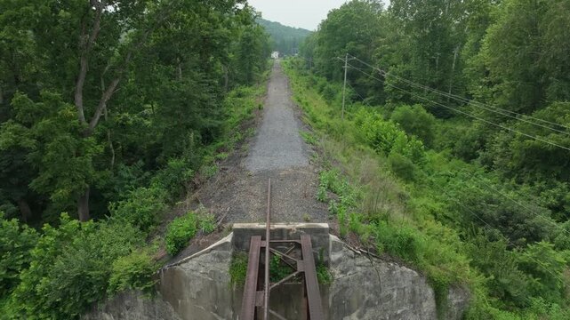 Abandoned train tracks stretch through lush greenery in a quiet rural area. Tall trees and wild plants surround the old rail bed, showcasing nature reclaiming the space.