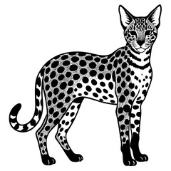 vector illustration of a leopard