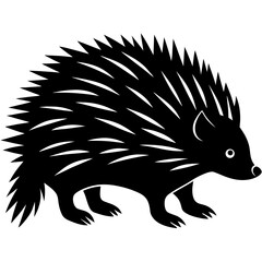 hedgehog vector illustration
