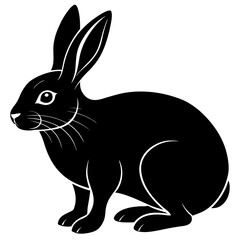 black and white rabbit
