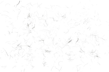 Naklejka premium human hair scattered isolated in white background and texture, clipping path