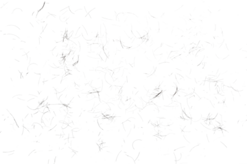 human hair scattered isolated in white background and texture, clipping path