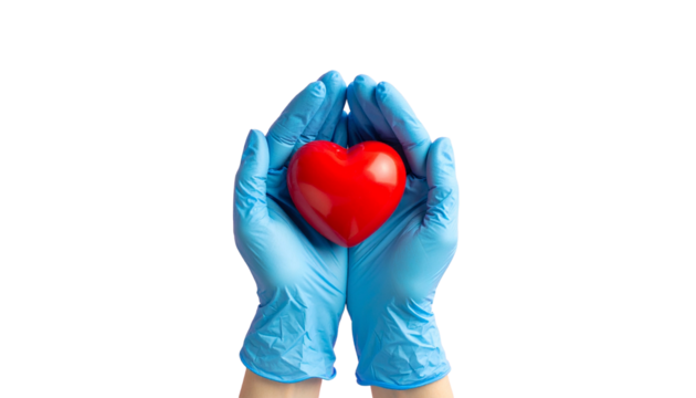 Medical professional's gloved hands gently cradling a vibrant red heart, symbolizing health, care, and donation - Powered by Adobe