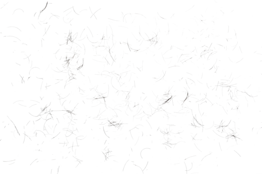 human hair scattered isolated in white background and texture, clipping path