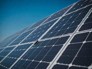 Harness the power of clean energy with vibrant solar panels against a clear blue sky, creating a sustainable future and eco friendly solutions
