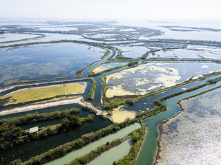 aerial view natural park in the north of italy, lagoon, friuli venezia giulia, italy