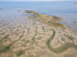 aerial view of natural park in the north of italy, lagoon, friuli venezia giulia, italy