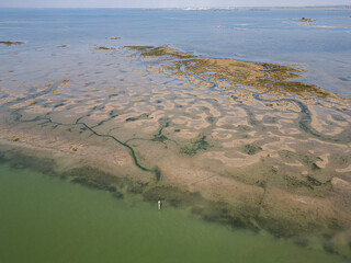 aerial view of natural park in the north of italy, lagoon, friuli venezia giulia, italy