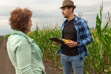 Two farmers man and woman in a field examining corn crop at farmland.