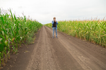 Obraz premium Farmer walking in corn field and examining crop and talking at phone