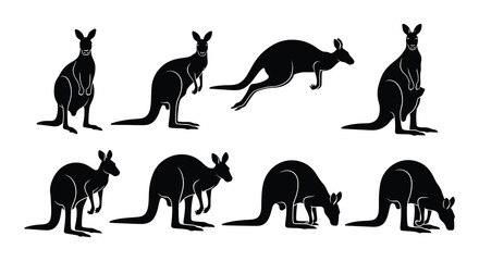 Silhouette illustrations of kangaroos in various poses and perspectives
