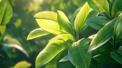 Exotic Foliage Zoom Background in Detail