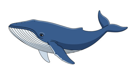 Obraz premium Detailed cartoon illustration of a majestic blue whale swimming peacefully shown from the side view isolated on a white background.