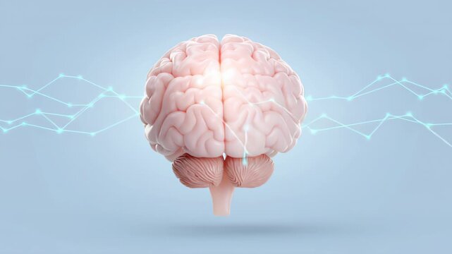 Detailed human brain model with glowing neural connections illustrating cognition and neural activity soft blue background conveying scientific concept and medical research focus detailed portrayal
