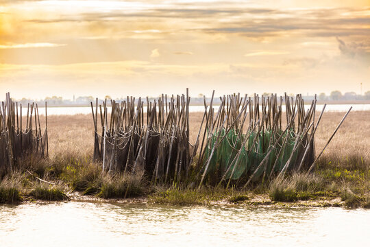 Fishing in the Marano Lagoon uses traditional methods like fixed nets "grasioi" leading to traps "cogoi"