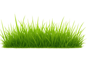 Obraz premium Fresh green grass growing in field with transparent background representing nature and environment
