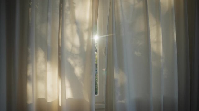 Sun shining through window curtain inside house or apartment in early morning. Cozy warm atmosphere inside as sun shines with lens flare through closed fabric drape. Silhouette of branches and leaves