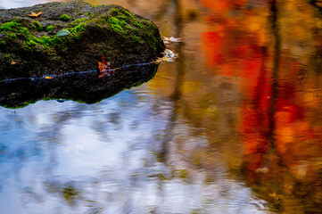 Autumn stream with mossy rocks and foliage reflection