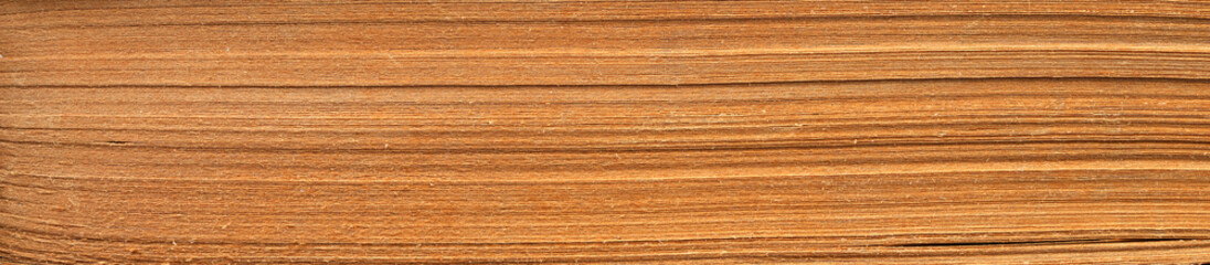 Book background with old pages, end view.