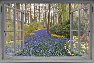 View from the big window on the garden