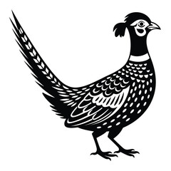 Black and white illustration of a detailed pheasant bird