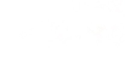 Bokeh and snow effects