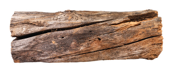 A weathered log found in the forest isolated on a white background. Stack.