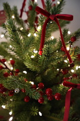 크리스마스 트리