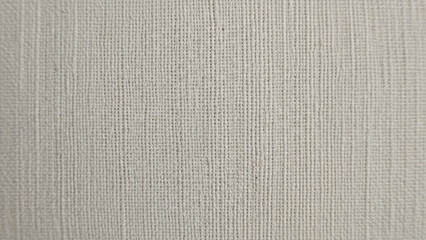 Fototapeta premium Clean Light Beige Fibrous Texture Background