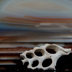 Stillleben mit KI erstellt+bearbeitet