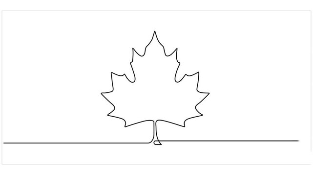leaf continuous one line drawing animation, Sprout, one line drawing animation. Video clip with alpha channel, leaves continuous one line drawing on black green white background. plant branch.