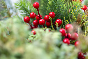 vibrant red holiday berries nestled in lush evergreen foliage, a festive seasonal background, bokeh christmas greeting card