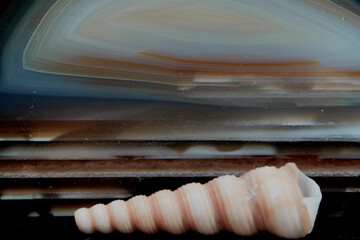 Stillleben mit KI erstellt+bearbeitet