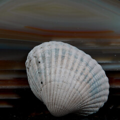 Stillleben mit KI erstellt+bearbeitet