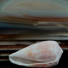 Stillleben mit KI erstellt+bearbeitet