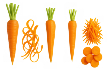 Carrots set with whole, peeled, julienned, and sliced raw vegetables showcasing various fresh preparations