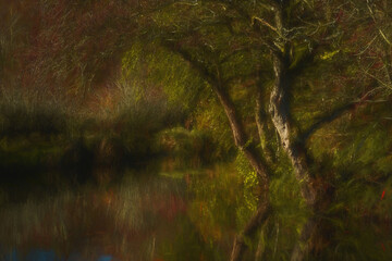 Digital oil painting capturing autumn tree and leaf colours along the Leek branch of the Caldon canal in Staffordshire.