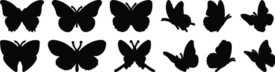 Black and white butterfly collection, decorative insect silhouette, symmetrical wing patterns, ornamental vector design, cad drawing flat vector illustration