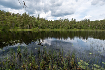 Norra Kvills national park lake in Sweden
