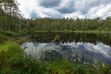 Norra Kvills national park lake in Sweden