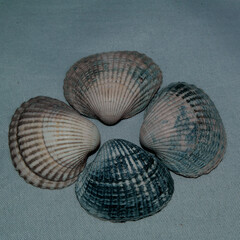 -Stillleben mit KI erstellt+bearbeitet